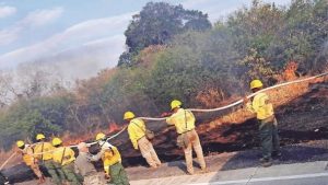 Controlan incendios en Santa Cruz; daños llegan a 15 mil ha